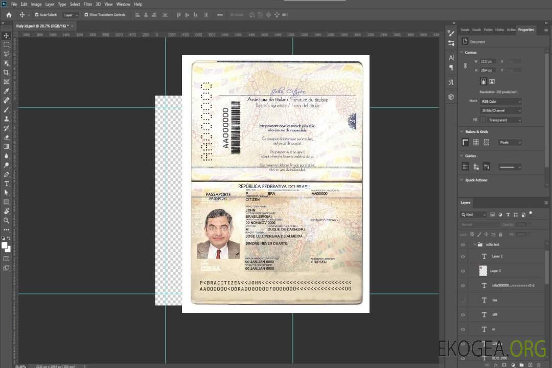 Modèle de passeport brésilien au format PSD, entièrement modifiable, version 2 (2019-présent) template